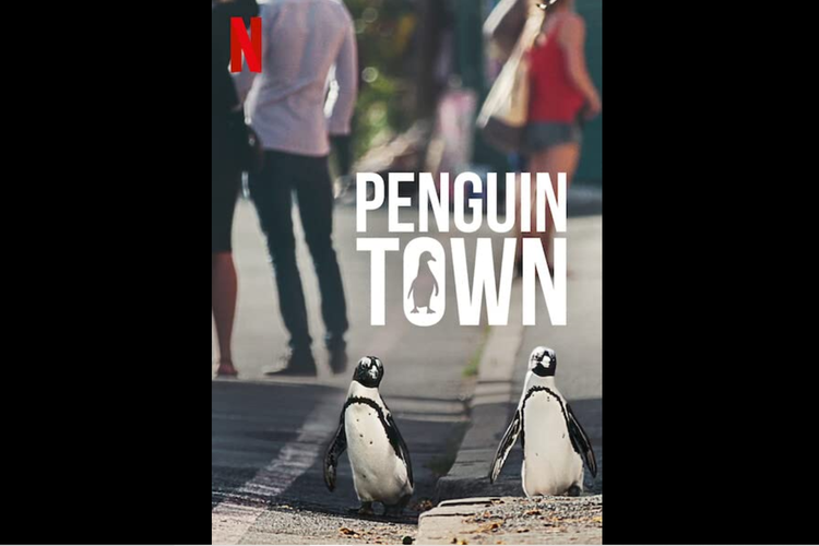 Serial dokumenter Penguin Town (2021) mengangkat isu seputar kehidupan kawanan Penguin di Afrika Selatan yang mulai terancam punah.