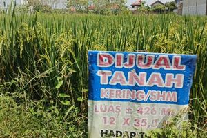 Prabowo Mau Bikin Lembaga Baru Bernama BRAN, Apa Tugasnya?
