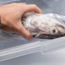Tips Menyimpan Ikan di Kulkas Tanpa Menimbulkan Bau Amis
