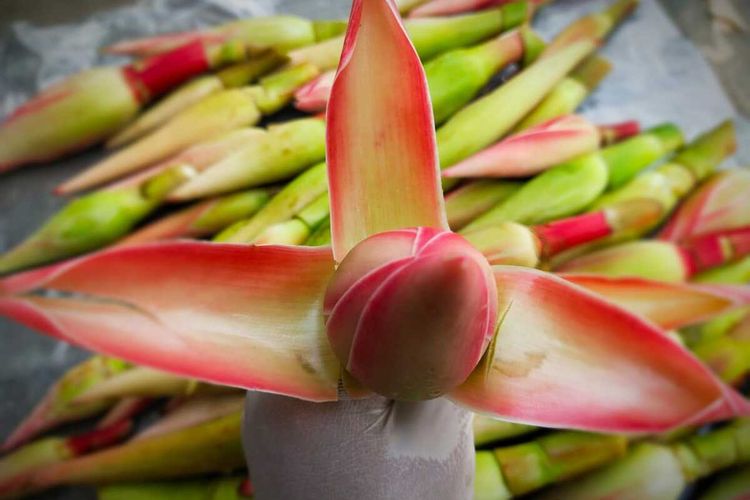Untuk pertama kalinya, bunga kecombrang  (Etlingera elatior) asal Sumatera Utara menembus pasar Malaysia melalui Pelabuhan Belawan. Bunga kecombrang merupakan campuran makanan khas dengan kandungan nutrisi dan serat yang tinggi.