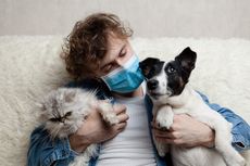 Tak Hanya Jadi Teman, Anjing juga Bisa Bantu Mengurangi Rasa Sakit