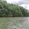Mangrove Dapat Memitigasi dan Adaptasi Dampak Buruk El Nino