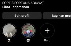 Apa Arti "Fortis Fortuna Adiuvat" yang Sering Jadi Bio Akun Medsos?