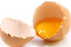 Berhasil Hamil berkat Kuning Telur