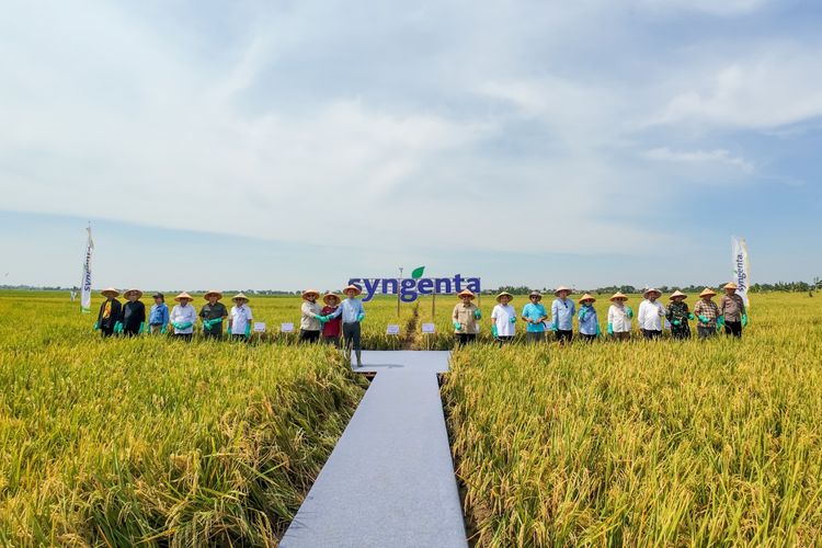 Kolaborasi pemerintah, Syngenta Indonesia, dan petani lewat Festival Panen Raya
