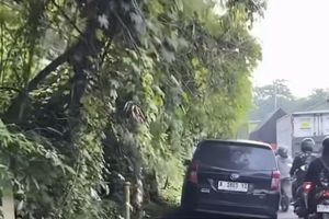 Misteri Mobil Berdebu yang Lama Terparkir di Pinggir Jalan Tangerang, Warga Curiga