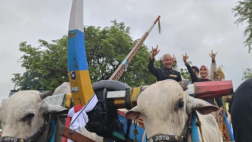 Hajatan Rakyat di Solo, Ganjar Bareng Siti Atikoh dan Alam Salam Metal di Atas Gerobak Sapi