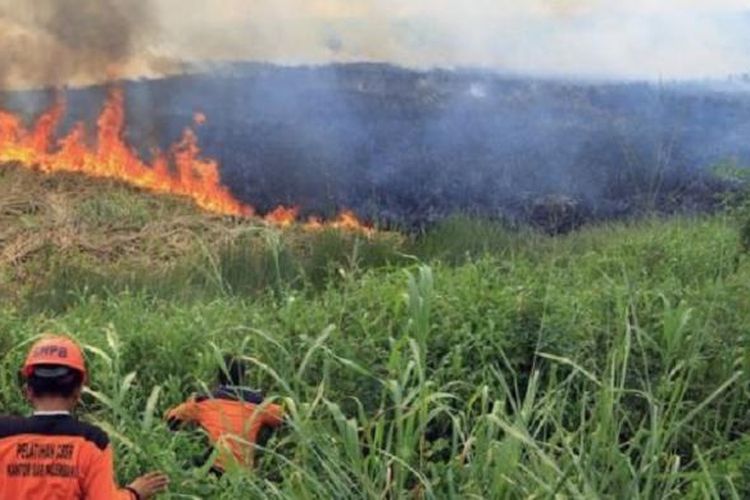 Pembakaran hutan kelapa sawit di Sumatera