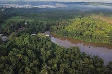 Hutan Lindung yang Mencemaskan