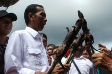 Jokowi Angkat Tangan Disodori Tikus Bakar
