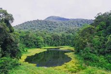 Taman Nasional Batang Gadis, Sejarah dan Paket Wisata di Dalamnya