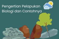 Pengertian Pelapukan Biologi dan Contohnya