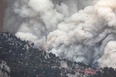 Picu Kebakaran Hutan Seluas 5.200 Hektare, Pria Ini Dipenjara 12 Tahun