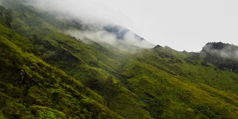 Lirik dan Chord Lagu Naik-naik ke Puncak Gunung Ciptaan Ibu Sud