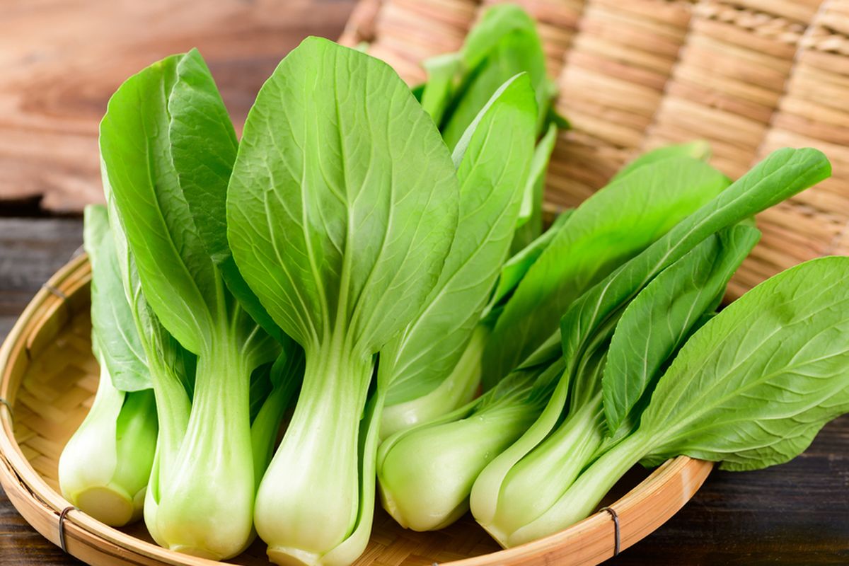 Sayur pakcoy termasuk dalam tiga sayuran teratas dalam indeks kepadatan nutrisi. Fakta nutrisi sayur ini kaya akan vitamin, mineral, dan antioksidan.