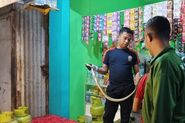Petugas Unit Pelaksana Teknis (UPT) Dinas Pemadam Kebakaran (Damkar) Kabupaten Situbondo, Jawa Timur, menangkap ular kobra di sebuah toko warga, Senin (31/1/2022) dini hari.