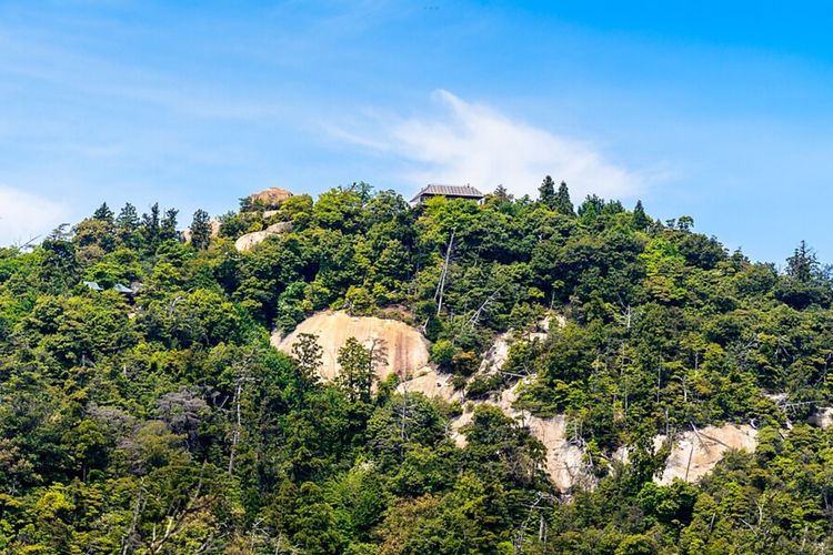 Anggota Yakuza Ditangkap karena Bangun Jalan Tanpa Izin di Gunung Milik Orang Lain