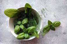 5 Tipe Daun Basil untuk Makanan atau Minuman Hangat