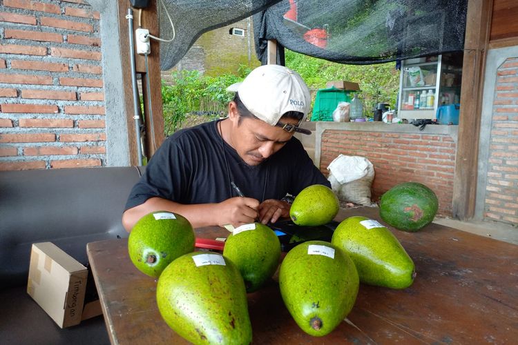Fatkhul sedang menyiapkan pesanan hasil kebun di markas Bibitbuahku.com di Gunungpati, Semarang 