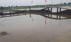 Strategi Ketahanan Iklim Kota Semarang di Bawah Kepemimpinan Mbak Ita