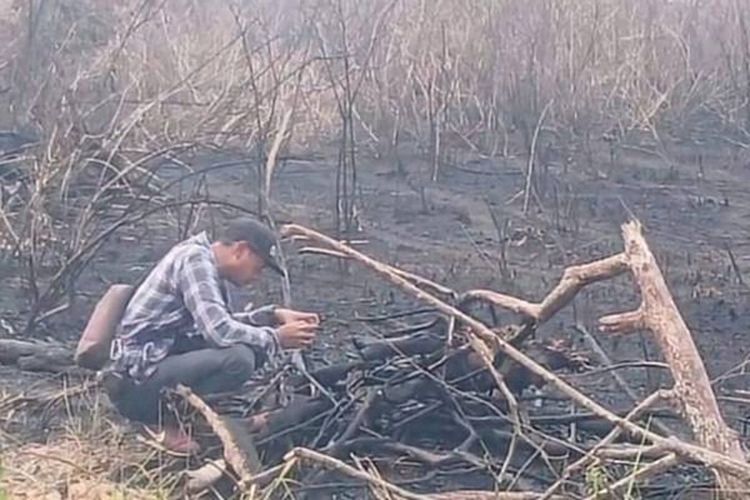 Api TN Way Kambas Padam, Bara di Bawah Gambut Masih Jadi Ancaman