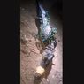 Cerita Warga Cianjur, Niat Menjala Kerang Malah Dapat Buaya