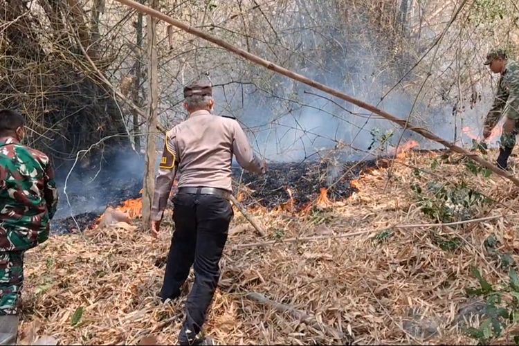 5 Hektare Hutan di Gunung Budheg Tulungagung Terbakar, Api Dipadamkan 2,5 Jam