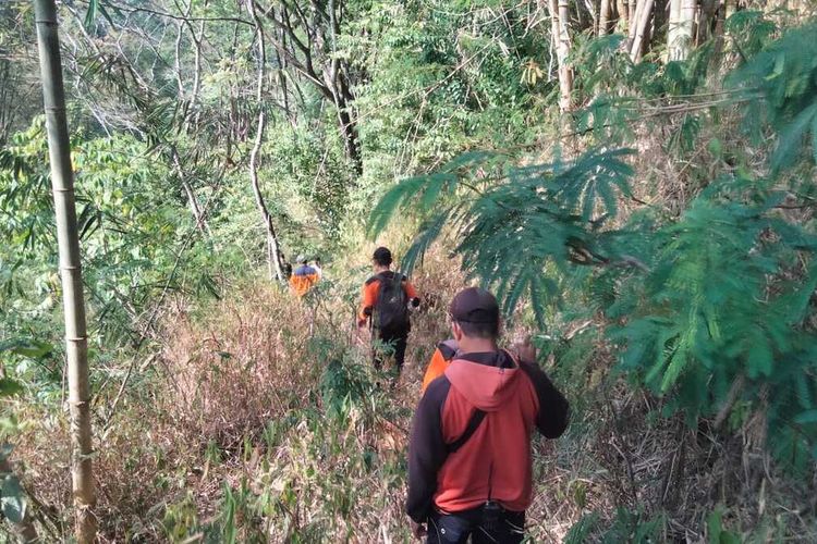 Kisah Mbah Gito Hilang di Hutan Pathuk Sleman, Berangkat Cari Rumput Lalu Tak Pulang