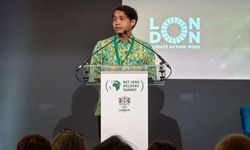 Indonesia Perkuat Pasar Karbon Berintegritas Tinggi