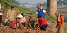 Pasokan Sayuran Ibukota Dioptimalkan dari Bantaran Kanal Banjir Timur