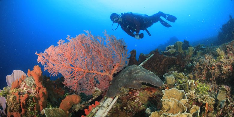 Kompetisi Fotografi Bawah Air atau Underwater Photography Competition bertajuk ?Explore Soasio Tongowai? di perairan Kepulauan Tidore, Maluku Utara. 