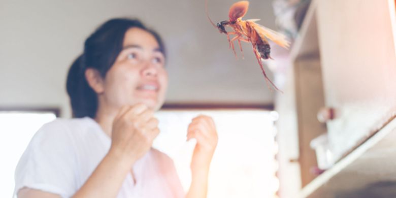 Fear of cockroaches, wife asks to move 18 times in 3 years, husband can’t stand it and asks for divorce