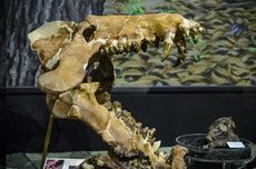 Cek Kondisi Ban Kendaraan Agar Perjalanan Libur Nataru Aman