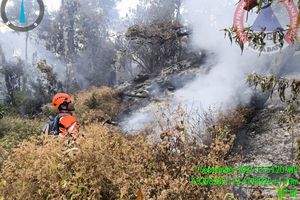 Gunung Buthak Terbakar, 185 Pendaki di 3 Gunung Diminta Segera Turun