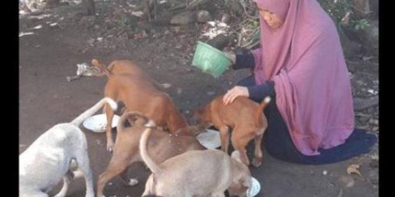 Hukum Memelihara Anjing Dan Soal Malaikat Yang Tidak Masuk Rumah