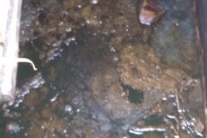 Pipa Minyak Pertamina Kembali Bocor di Blora, Ini Kata Dinas Lingkungan Hidup