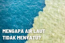 Mengapa Dua Air Laut Tidak Menyatu? 