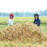 Permudah Petani Budi Daya Pertanian, Kementan Dorong Pembuatan Kluster KUR Pertanian