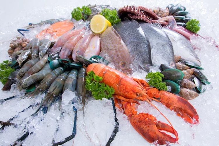 ilustrasi seafood mentah.