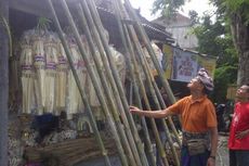 Jelang Galungan, Warga Bali Mulai Siapkan Penjor