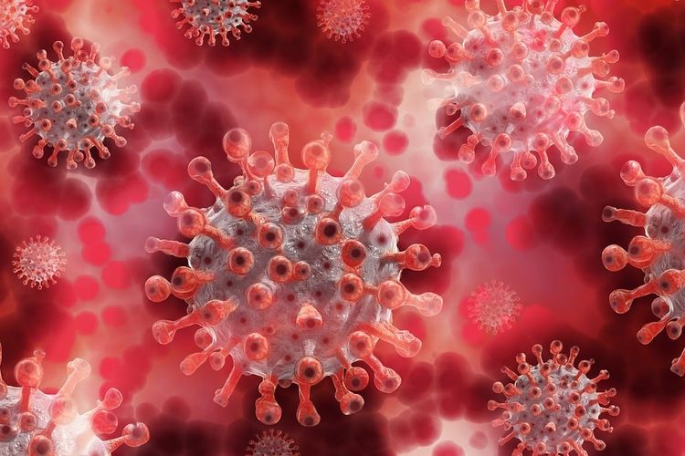 Virus Shamonda: Jangan Terjebak 
