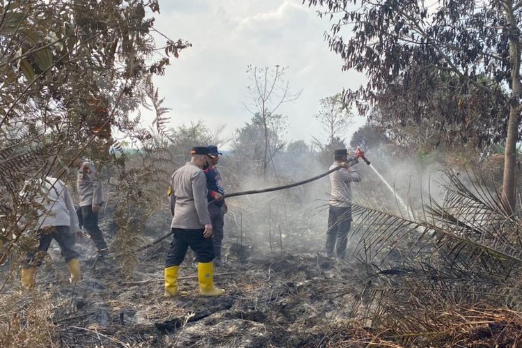 311 Hektar Lahan Terbakar di Inhu Riau, Pemadaman dari Darat dan Udara