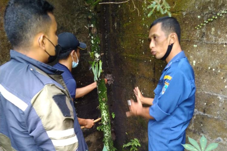 Petugas Satpol PP dan Damkar Kota Salatiga berupaya mengevakuasi kucing yang terhimpit dinding tembok.