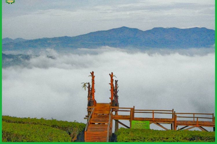 Jika beruntung pengunjung bisa mendapatkan pemandangan penuh kabut seperti di atas awan di wisata Wayang Windu Panenjoan