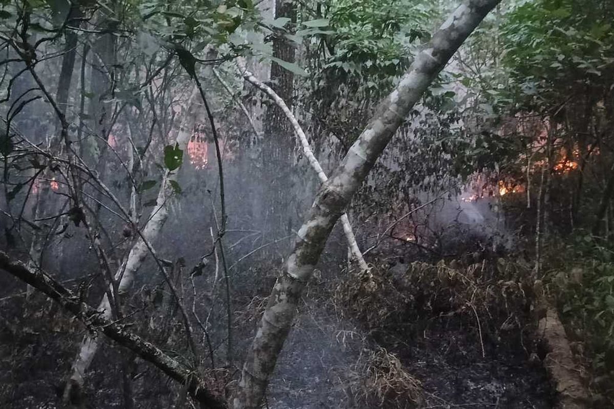 Foto: Lokasi kebakaran hutan di Nagori Sibaganding, Kecamatan Girsang Sipangan Bolon, Kabupaten Simalungun, Sumatera Utara.|Dokumentasi: Polres Simalungun.