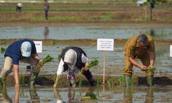 Genjot Akselerasi Produksi Pertanian, Ditjen Perkebunan Gelar OKMAR di Karawang