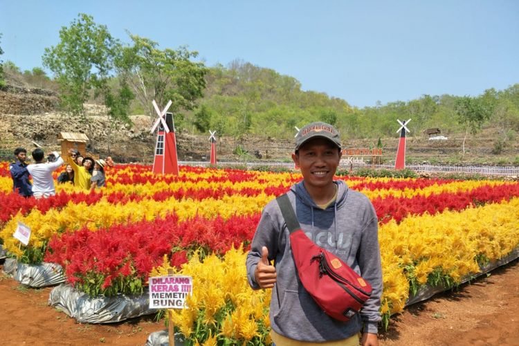 Pemilik taman bunga celosia, Bariyanto. 