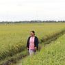 Kadis Dinas Hortikultura dan Peternakan Kalteng Bantah Kabar Food Estate Gagal Panen