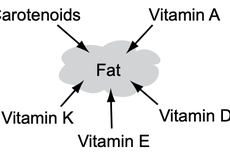 Bagaimana Vitamin yang Larut dalam Lemak Diserap?