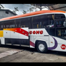 Bus Bagong Punya Kendaraan Baru Pakai Bodi Evonext GT dari New Armada